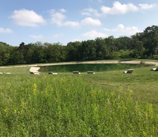 Ein ruhiger Teich in einem grünen Feld mit einigen umliegenden Bänken. Der Himmel ist blau mit verstreuten Wolken, und die Umgebung ist üppig mit Bäumen.