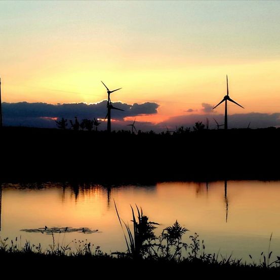 Eine ruhige Sonnenuntergangsszene mit Silhouetten von Windrädern, die sich auf einem ruhigen See spiegeln. Der Himmel ist mit warmen Orange- und Rosatönen bemalt.