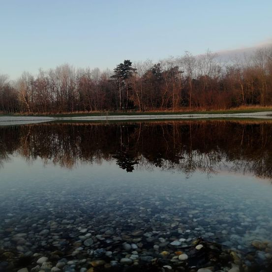 Ein ruhiger See mit Kieselsteinen am Boden, der Bäume und einen klaren Himmel widerspiegelt. Das Wasser ist ruhig und die Bäume sind kahl.
