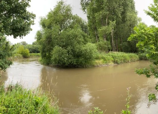 Ein Fluss mit braunem, schlammigem Wasser, umgeben von üppigem grünem Laub und Büschen auf beiden Seiten. Das Wasser spiegelt die Grünflächen wider.