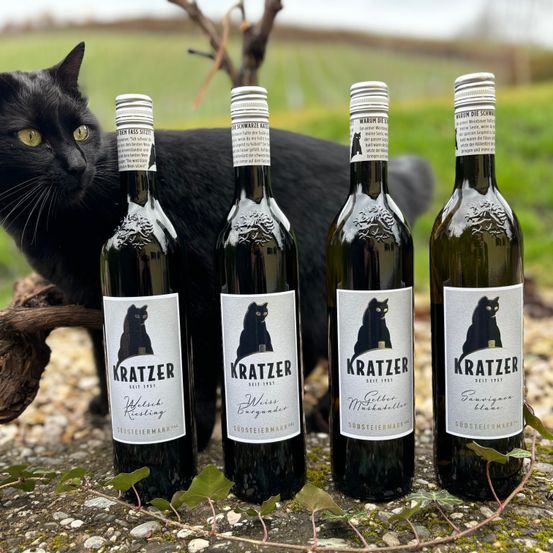 Bild enthält, Alcohol, Beverage, Bottle, Liquor, Wine Bottle, Outdoors, Beer, Nature, Cat, Countryside