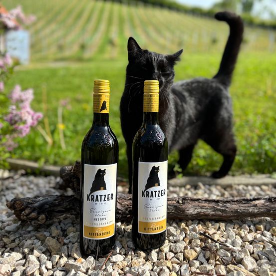 Bild enthält, Bottle, Alcohol, Beer, Beverage, Cat, Outdoors, Nature, Countryside, Liquor, Wine Bottle