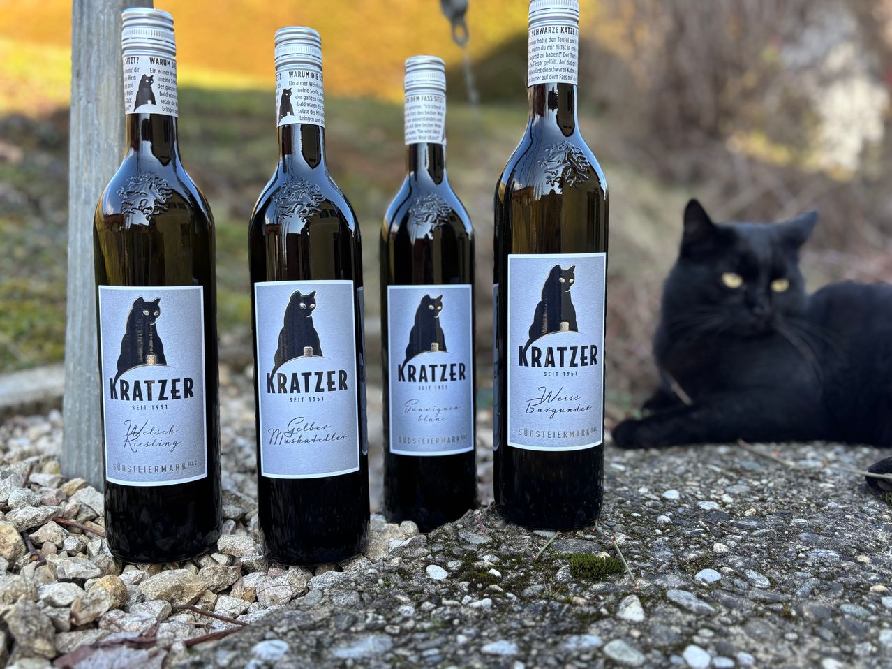 Vier Flaschen Kratzer-Wein, zwei weiß und zwei rot, sind auf einer felsigen Oberfläche aufgereiht. Eine schwarze Katze liegt in der Nähe.