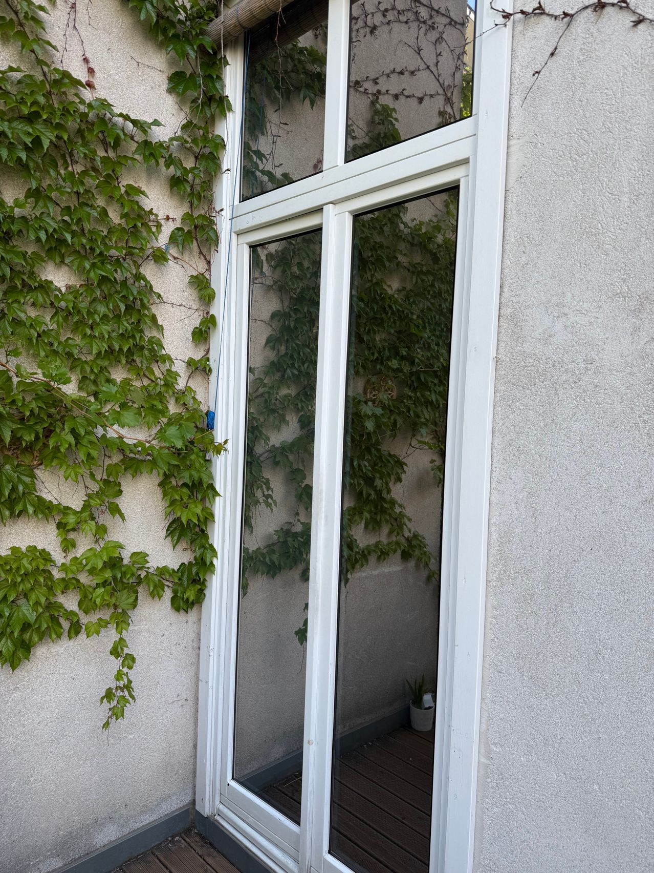 Eine weiße Schiebetür mit Glasscheiben ist geöffnet und zeigt eine kleine Topfpflanze im Inneren. Die Tür ist von weißem Rahmen umgeben und teilweise von einer grünen Efeupflanze an der Wand bedeckt.