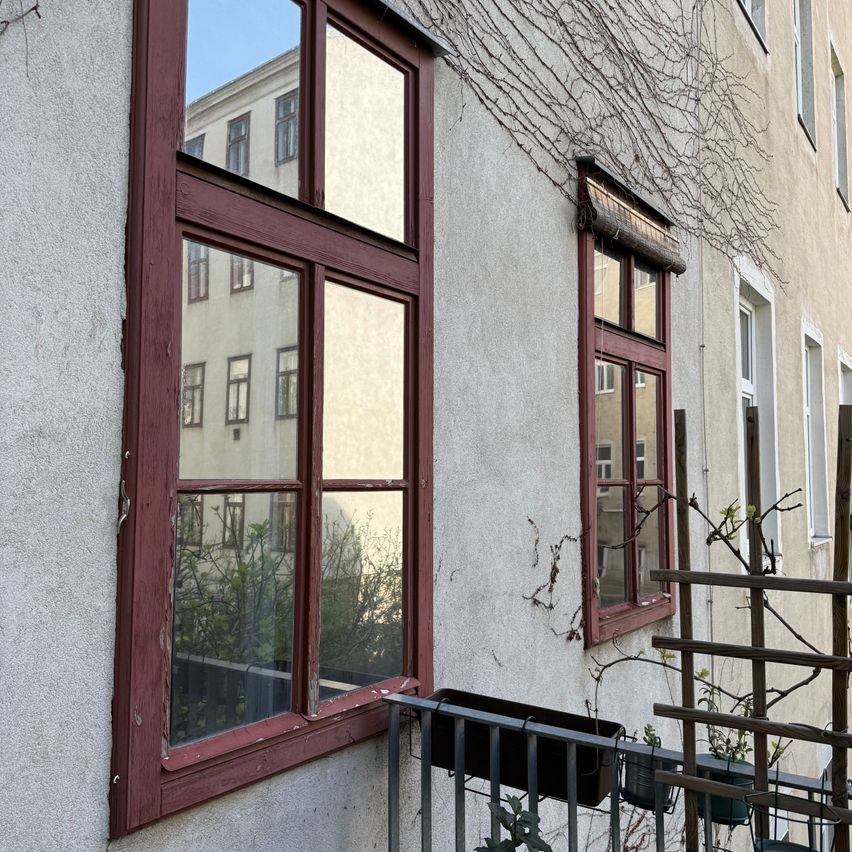 Ein Gebäudeaußenseite zeigt zwei Fenster mit kastanienbraunen Rahmen. Das linke Fenster spiegelt ein Nachbargebäude. Das rechte Fenster ist mit Ranken bedeckt. Ein Balkon mit Topfpflanzen ist sichtbar.
