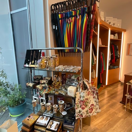 Indoors, Interior Design, Architecture, Building, Plant, Furniture, Wood, Shop, Walk-In Closet, Person