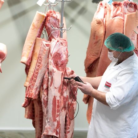 Ein Metzger untersucht rohe Rinderstücke mit einem Handgerät, mit mehreren hängenden Fleischstücken im Hintergrund.