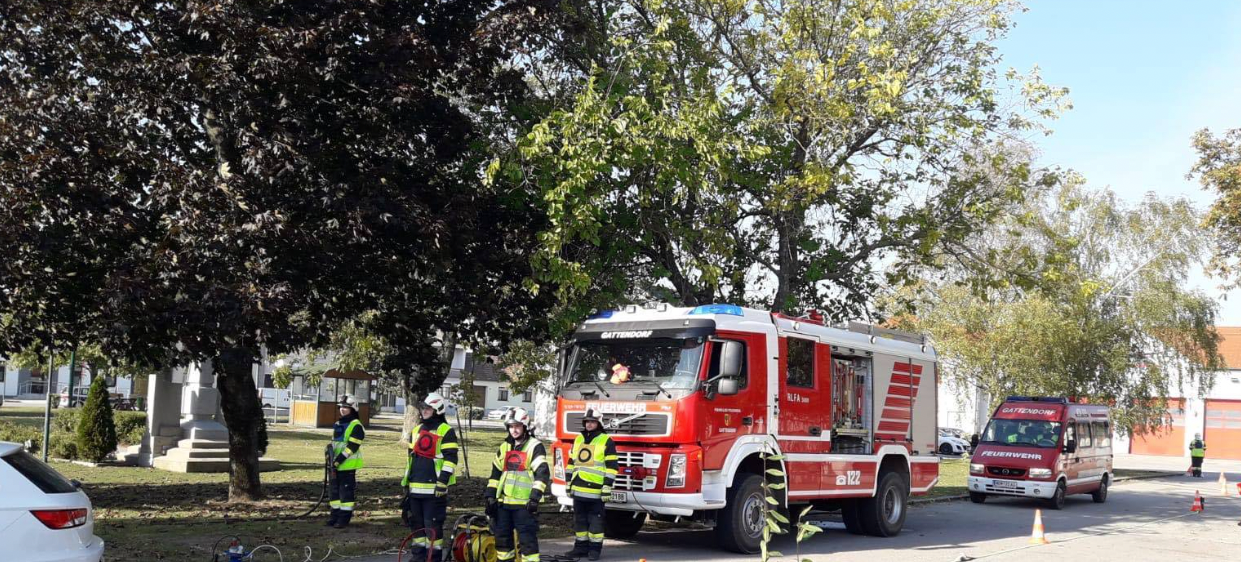 v1_migrated_image_98069450