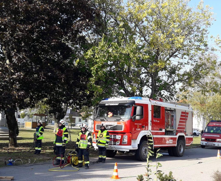 v1_migrated_image_98069450