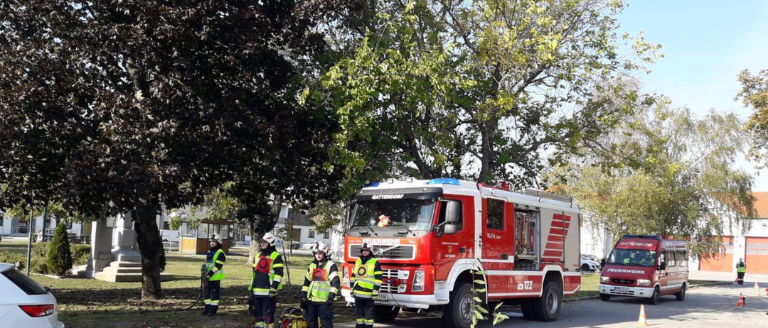 Freiwillige Feuerwehr Gattendorf-Logo