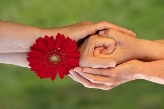 Zwei Hände halten sich mit einer roten Blume dazwischen.