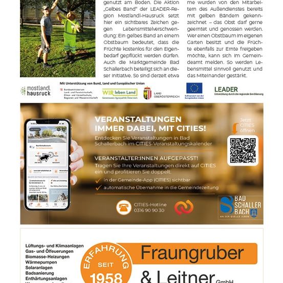 Eine Werbung für die Gelbes Band Initiative, die zwei Personen zeigt, die Obst von einem Baum pflücken, mit einem Smartphone, das eine Karte und einen QR-Code für die Veranstaltungsanmeldung anzeigt. Der Text betont die Vorteile der Obsternte und der Gemeinschaftsbeteiligung.