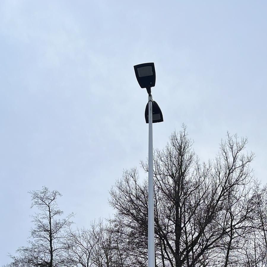 Eine Straßenlaterne mit zwei Lampen ist an einem hohen Mast befestigt, umgeben von laublosen Bäumen vor blauem Himmel.