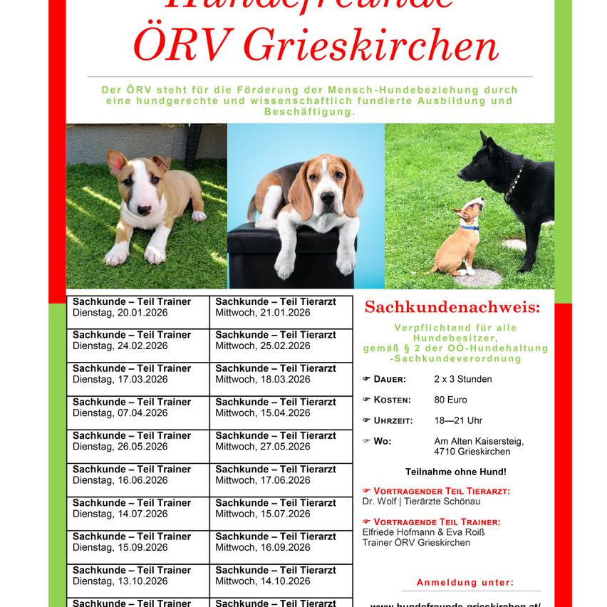 Der Flyer bewirbt Hundetrainingskurse in Grieskirchen, Österreich. Mehrere Termine und Zeiten für Teilzeittraining und Teilzeitbeteiligung sind aufgeführt. Kosten und Dauer werden angegeben, zusammen mit dem Namen und der Adresse des Veranstaltungsortes. Fotos von Hunden sind enthalten.