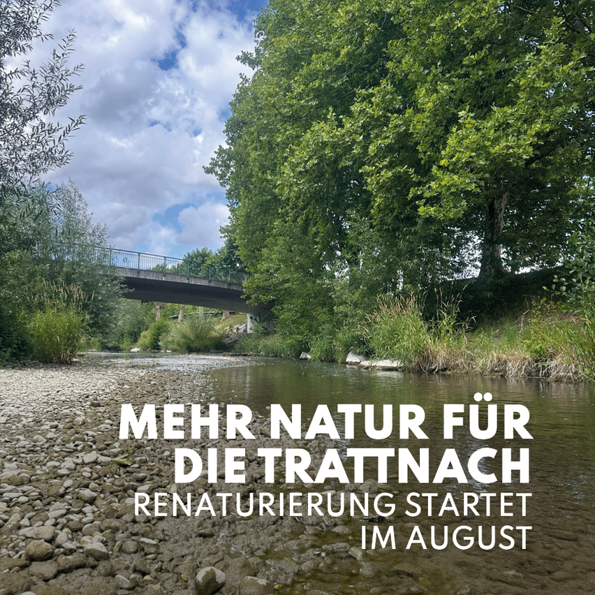 Eine friedliche Flussszene mit Felsen und Grünpflanzen, eine Brücke im Hintergrund und Textüberlagerung, die 'Mehr Natur für die Trattnach Renaturierung startete im August' lautet.