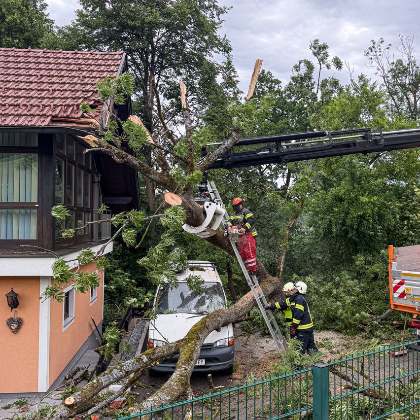 Ein Baum ist auf ein Haus und einen Van gefallen. Feuerwehrleute benutzen eine Leiter, um die Baumzweige zu entfernen.