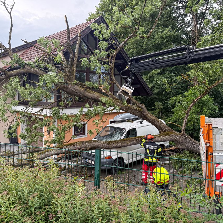 Rettungskräfte entfernen einen großen umgestürzten Baum von einem Haus, wobei ein weißer Lieferwagen darunter eingeschlossen ist, in einer Vorstadtumgebung.
