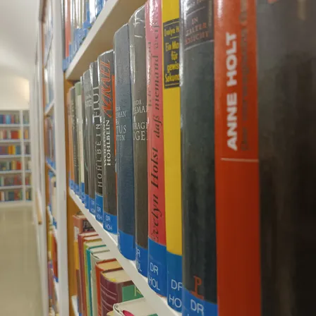 Eine Nahaufnahme eines Bücherregals in einer Bibliothek. Reihen von Büchern mit unterschiedlich farbigen Rücken sind ordentlich organisiert. Die Bücher sind von Autoren wie Anne Holt und anderen betitelt.