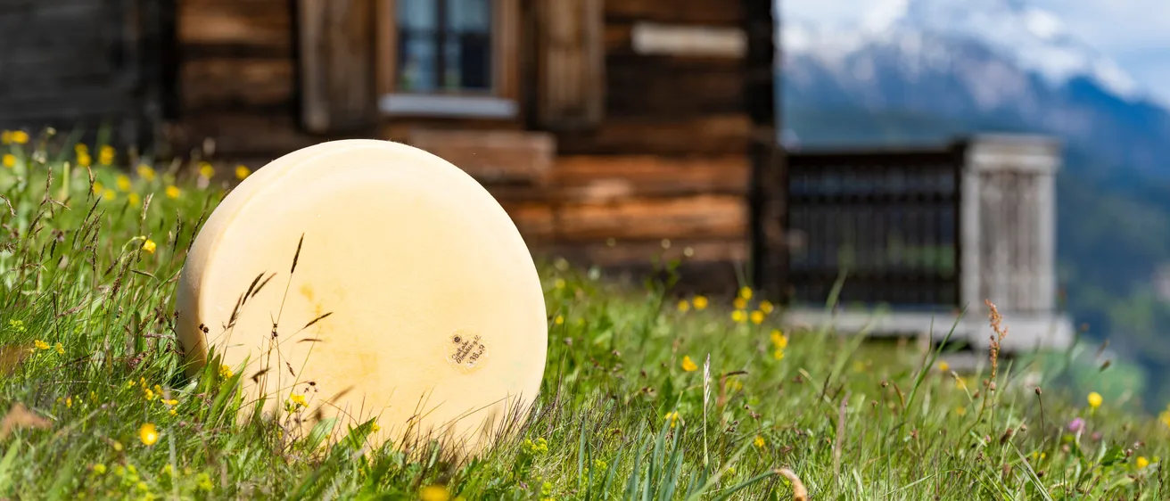 Ein gelbes Frisbee liegt im Gras mit einem Holzchalet und einer Bergkette im Hintergrund.