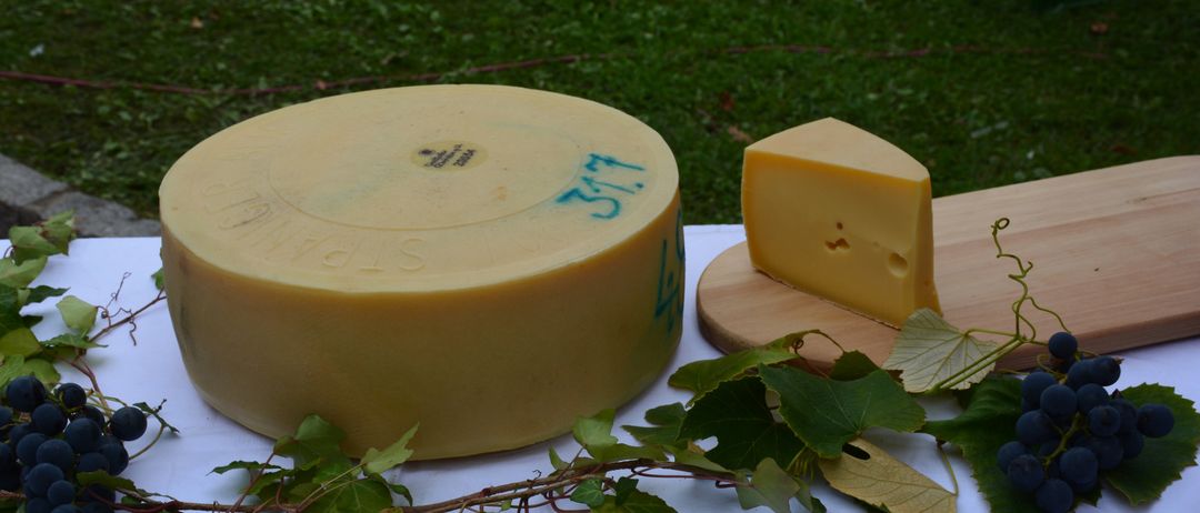 Ein runder Käse liegt auf einem Holzschneidbrett mit einem Käsestück. Grüne Blätter liegen auf einer weißen Tischdecke. Der Hintergrund ist grasig.