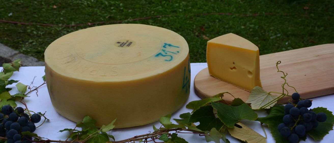 Ein runder Käse liegt auf einem Holzschneidbrett mit einem Käsestück. Grüne Blätter liegen auf einer weißen Tischdecke. Der Hintergrund ist grasig.