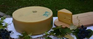 Ein runder Käse liegt auf einem Holzschneidbrett mit einem Käsestück. Grüne Blätter liegen auf einer weißen Tischdecke. Der Hintergrund ist grasig.