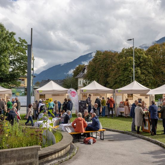 Ein Park mit mehreren Zelten und versammelten Menschen, einige sitzen, andere stehen. Im Hintergrund sind Berge und ein klarer Himmel.