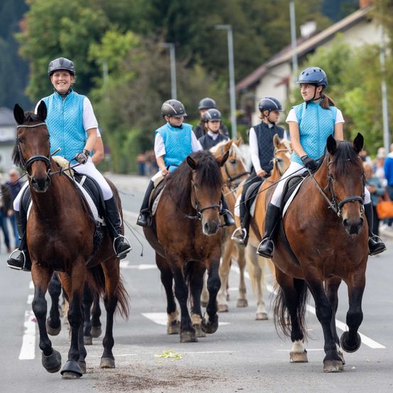 Eine Gruppe von Reitern in blauen Westen und Helmen reitet Pferde auf einer Straße, mit Zuschauern und Bäumen im Hintergrund.