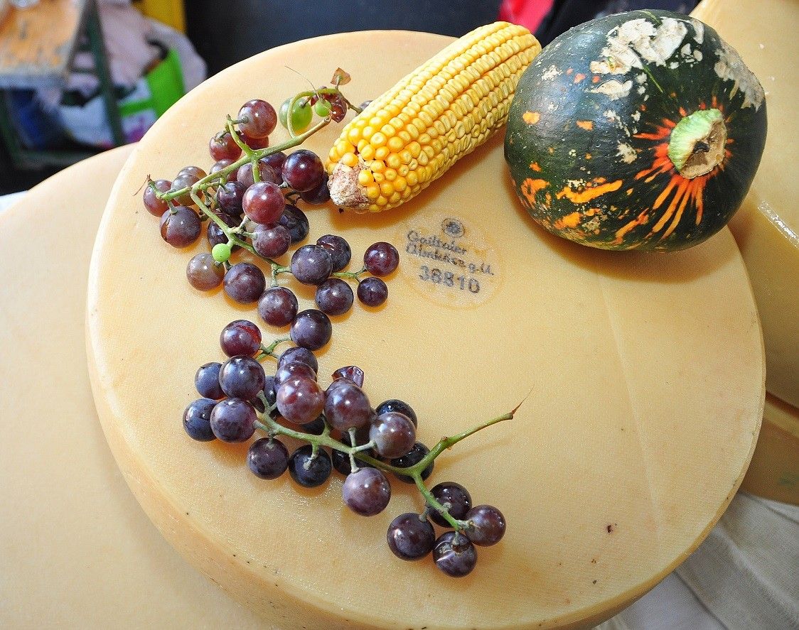 Eine Käseplatte zeigt einen Maiskolben, eine Kürbis und eine Traube darauf.