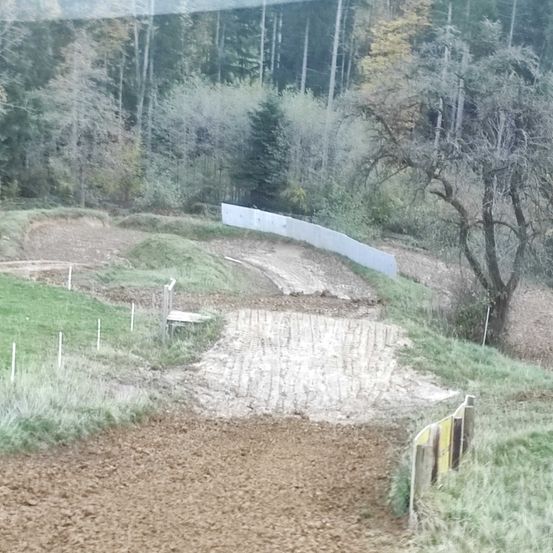 Bild enthält, Tree, Soil, Gravel, Path, Fir, Vegetation, Nature, Outdoors, Trail, Shelter