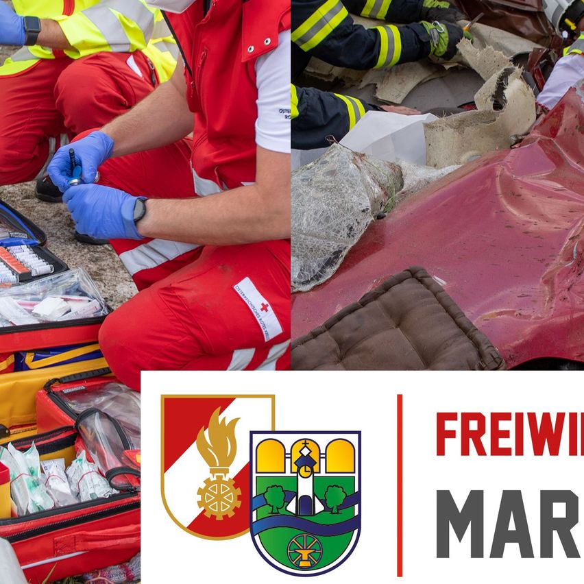 Bild enthält, Vest, Lifejacket, Adult, Male, Man, Person, Helmet, Logo, People, Helicopter