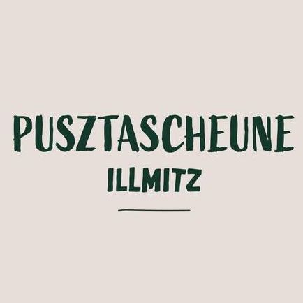 Auf einem beigefarbenen Hintergrund stehen die Worte 'Pusztascheune Illmitz' in Grün, darunter eine Linie.