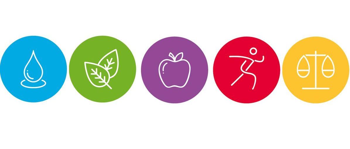 Drei Symbole in einer Reihe. Erstes ist ein grünes Blatt, zweites ist ein lila Apfel, drittes ist eine rote Lauffigur.