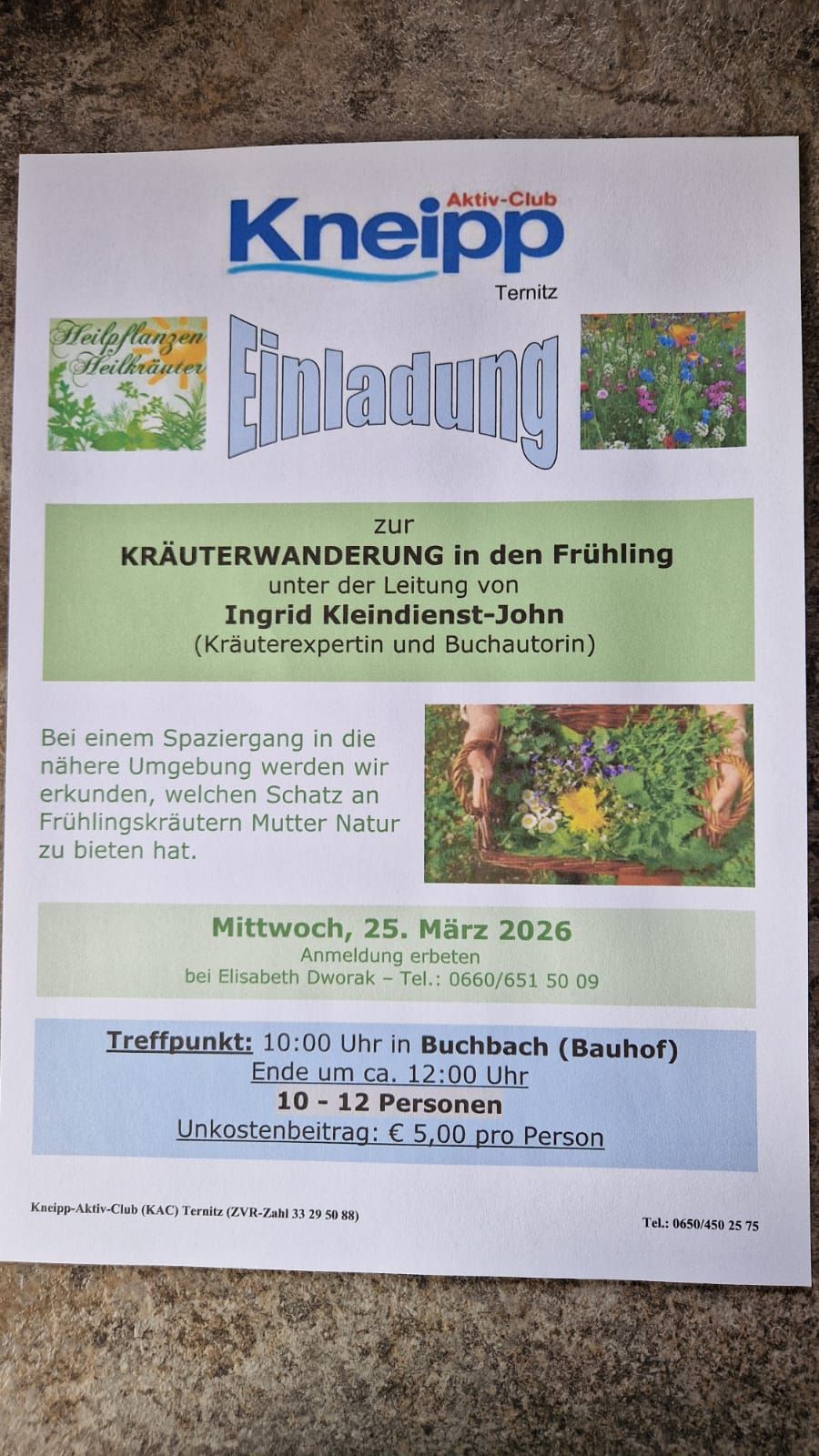 Invitation to a spring herb walk led by Ingrid Kleindienst-John, herbalist and bookstore owner. Explore the local area to discover spring herbs. Meeting at Buchbach station at 10:00 AM, ending around 12:00 PM. Cost: €5.00 per person.