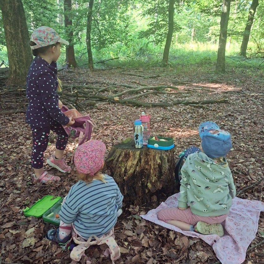 Drei Kinder sitzen auf einem Baumstumpf im Wald, eines hält eine Tasche, ein anderes eine Brotdose und ein drittes eine Flasche.