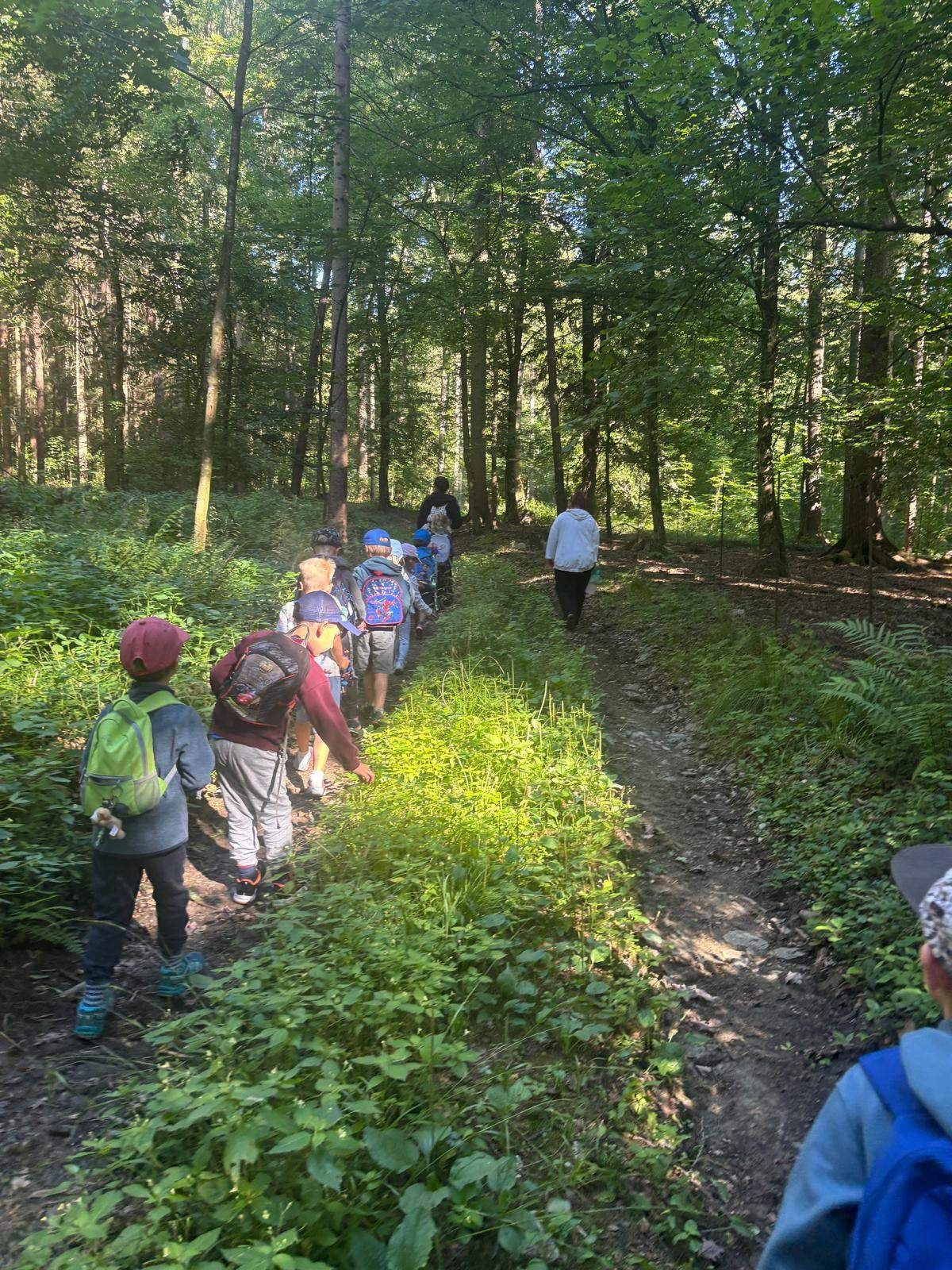 Eine Gruppe von Kindern mit Rucksäcken geht auf einem schmalen Pfad in einem dichten Wald, angeführt von einem Lehrer.