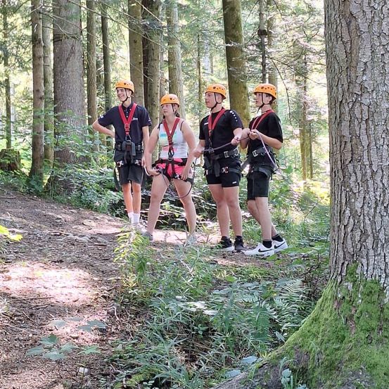 Vier Personen mit Helmen und Gurten stehen in einem Wald, in der Nähe eines Baumstamms. Sie schauen alle nach vorne.