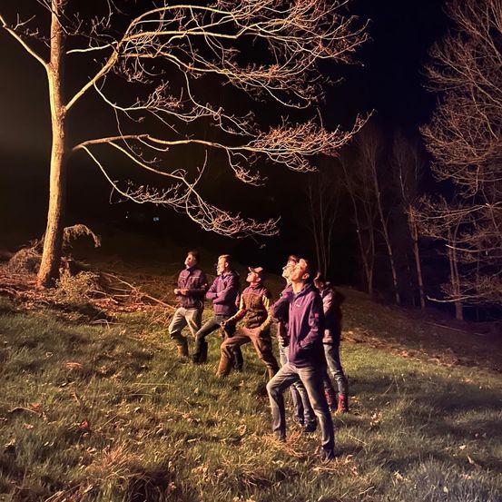 Eine Gruppe von Menschen steht bei Nacht auf einem Grashügel und schaut in den Himmel, umgeben von kahlen Bäumen.