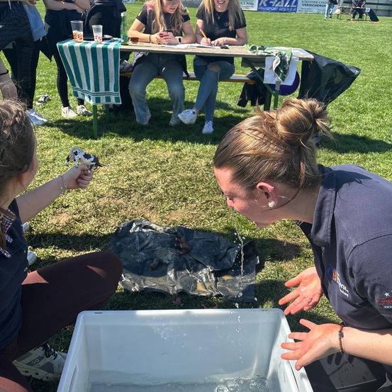 Eine Gruppe von Frauen auf einer Rasenfläche. Eine Frau gießt Wasser aus einem Eimer auf eine andere. In der Nähe sitzen zwei Frauen an einem Tisch, eine schreibt. Im Hintergrund ein Schemel und eine verschwommene Ansicht von Menschen.
