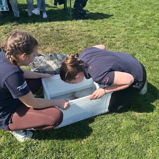 Zwei Frauen untersuchen ein kleines Amphibium in einem durchsichtigen Behälter auf einem Grasfeld.