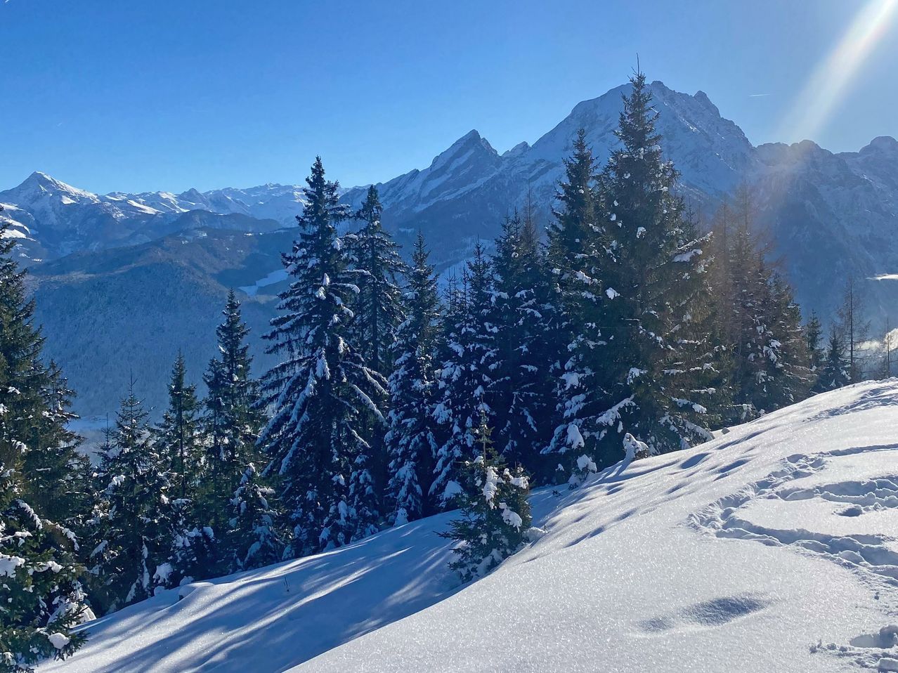 Schneebedeckte Bergkette mit immergrünen Bäumen unter einem klaren blauen Himmel. Die Bäume sind mit Schnee bedeckt, und der Schnee liegt dick auf dem Boden.