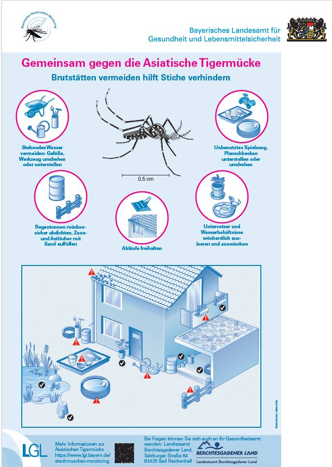 Ein Infografik, das zeigt, wie man die Asiatische Tigermücke vermeidet, indem man Brutstätten vermeidet. Es zeigt Bilder von stehendem Wasser, Spielzeug und Behältern, die wöchentlich geleert und gereinigt werden müssen. Es zeigt auch ein Haus mit verschiedenen Bereichen, die mit Warnzeichen markiert sind.