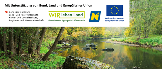 Ein Fluss mit Steinen und Bäumen drumherum. Ein Wasserzeichen ist auf der linken Seite und ein Logo auf der rechten. Ein großer Stein ist in der Mitte des Flusses.