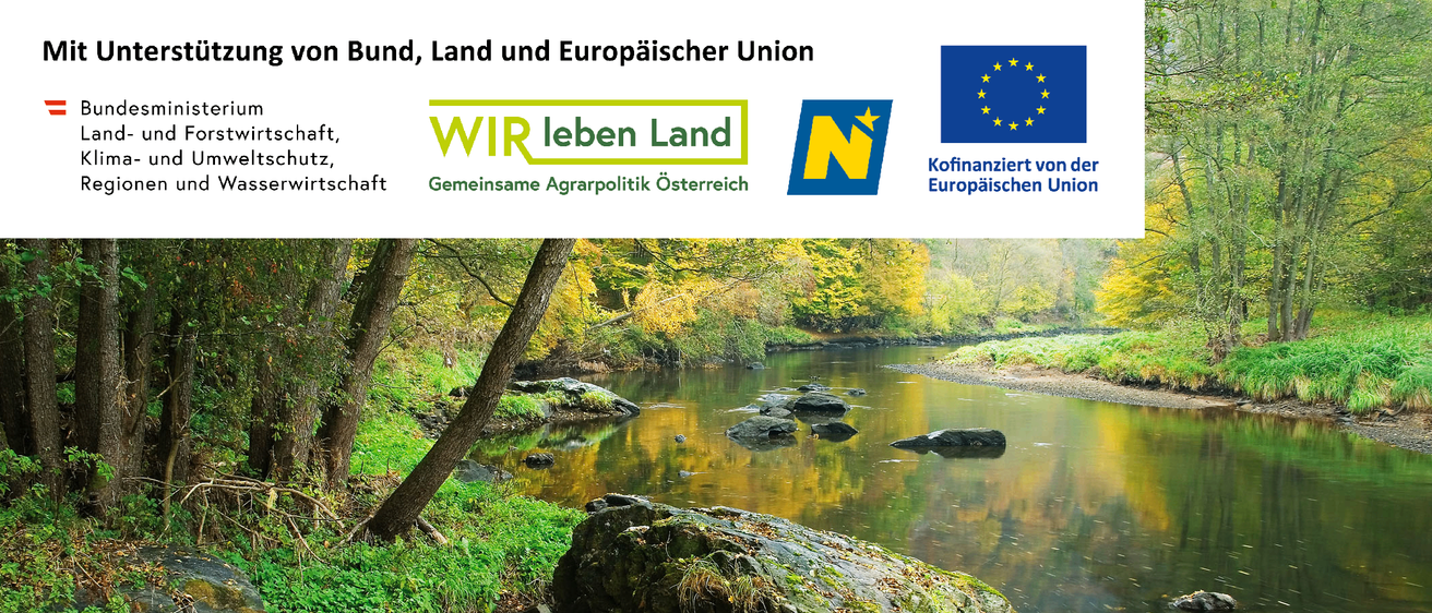 Ein Fluss mit Steinen und Bäumen drumherum. Ein Wasserzeichen ist auf der linken Seite und ein Logo auf der rechten. Ein großer Stein ist in der Mitte des Flusses.