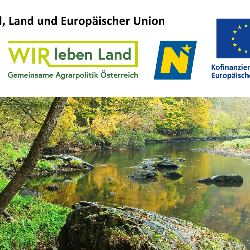Ein Fluss mit Steinen und Bäumen drumherum. Ein Wasserzeichen ist auf der linken Seite und ein Logo auf der rechten. Ein großer Stein ist in der Mitte des Flusses.