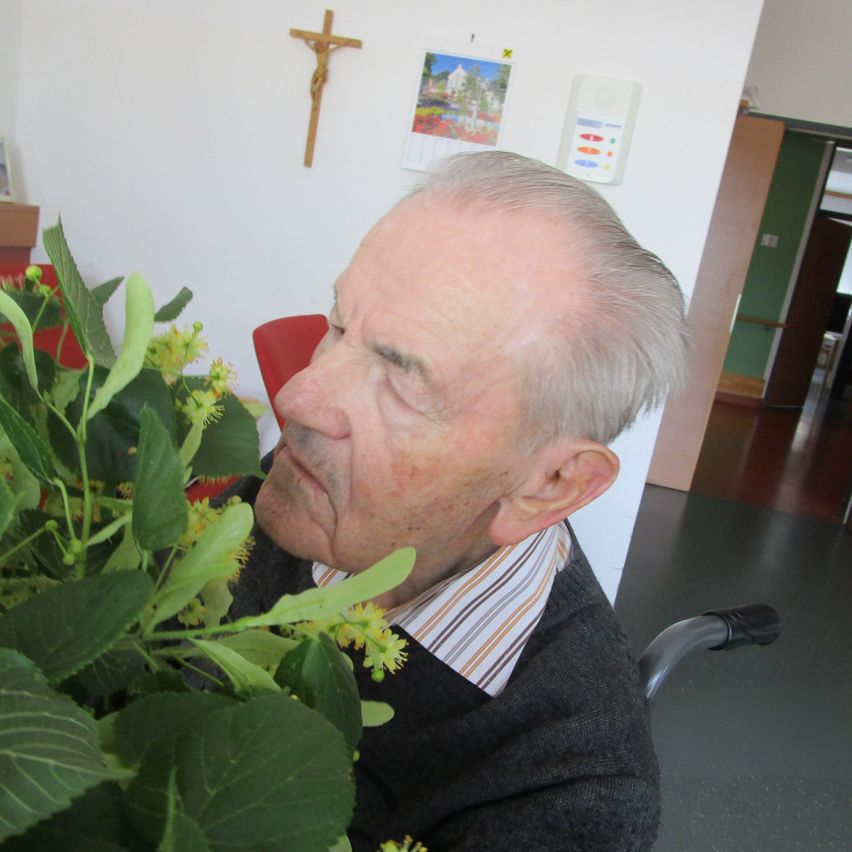 Ein älterer Mann riecht an Blumen in einem Raum. Er trägt einen schwarzen Pullover. Hinter ihm ist eine weiße Wand mit einem Kreuz.
