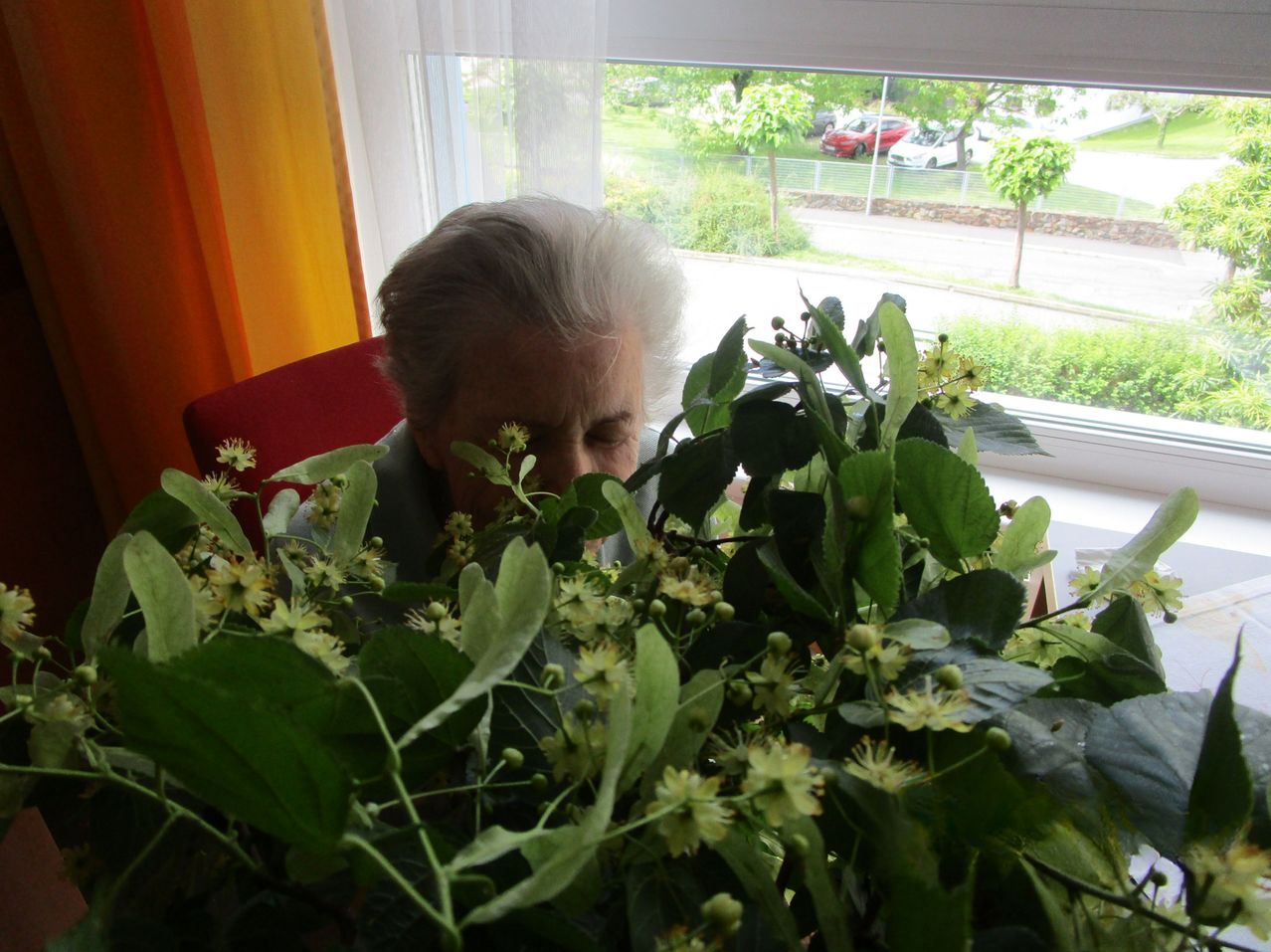 Eine ältere Frau mit grauen Haaren sitzt in der Nähe eines Fensters und schaut auf grüne Blumen hinunter.