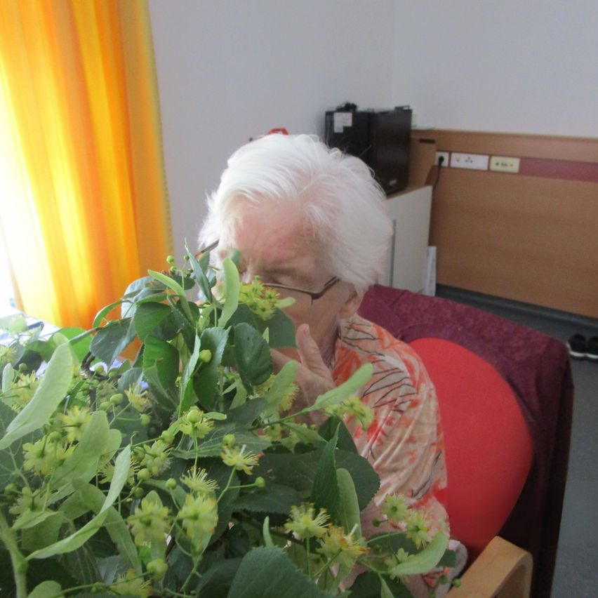 Eine ältere Frau mit Brille und einem Blumenhemd sitzt auf einem Stuhl und riecht an einer Pflanze mit grünen Blättern und gelben Blüten.