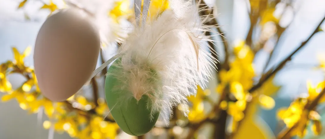 Eine Nahaufnahme von zwei Ostereiern, die an einem Ast hängen, eines grün und eines weiß, geschmückt mit weißen Federn. Der Hintergrund ist ein Unschärfebild von gelben Blumen.