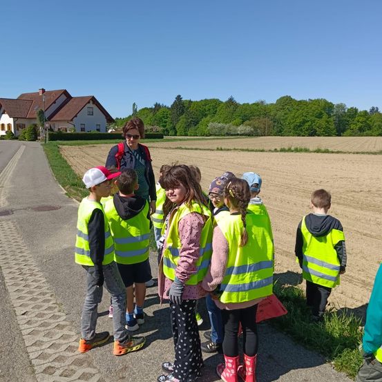 Eine Frau führt eine Gruppe von Kindern in Warnwesten in der Nähe einer Farm. Sie stehen auf einer Straße mit einem Feld dahinter.